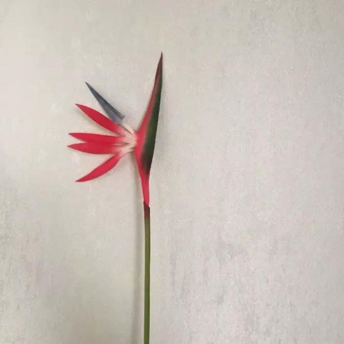 Décorations de mariage et d'intérieur : Fleurs artificielles à longue tige en soie, fleurs en latex 