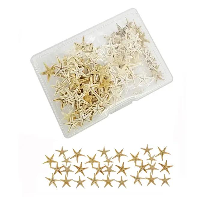 1 boîte de 110 pièces petite étoile de mer étoile de mer naturelle coquillage océan thème ornement pour bricolage plage décoration de mariage décor d'aquarium