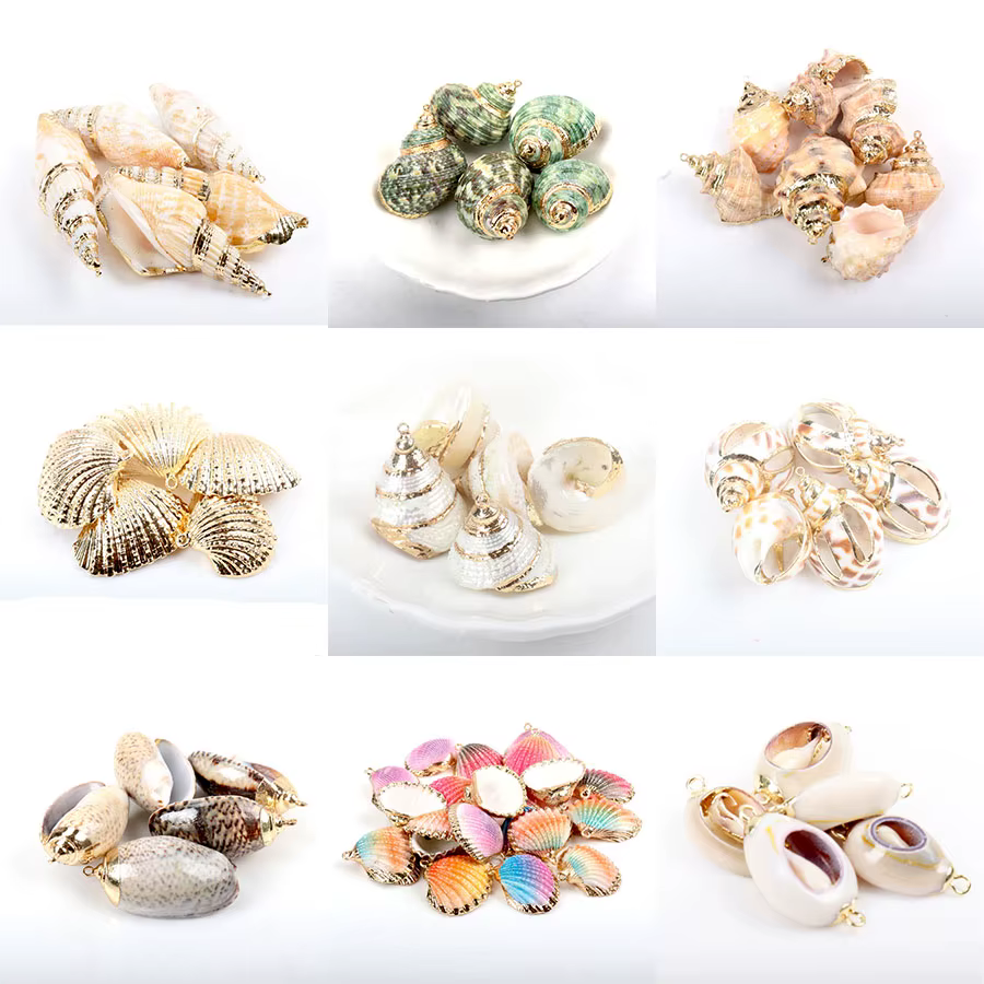 Coquille naturelle plaquée or pour bijoux, 5 pièces, breloques faites à la main, pendentif, coquilla