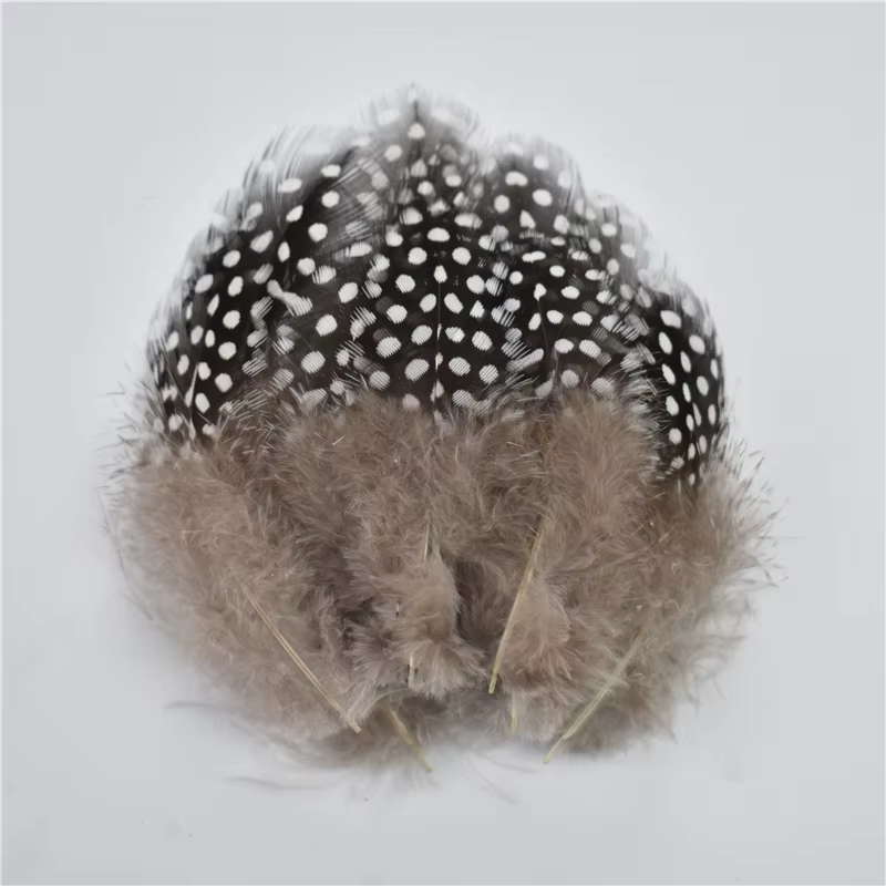 Plumes de faisan 5-10cm, 20 pièces/lot, création de bijoux, plumes colorées pour travaux d'aiguille 