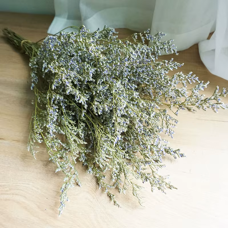 Herbe de saint-valentin conservée, 50g, citron, fleur, amoureux, accessoires de fleuriste, décoratio