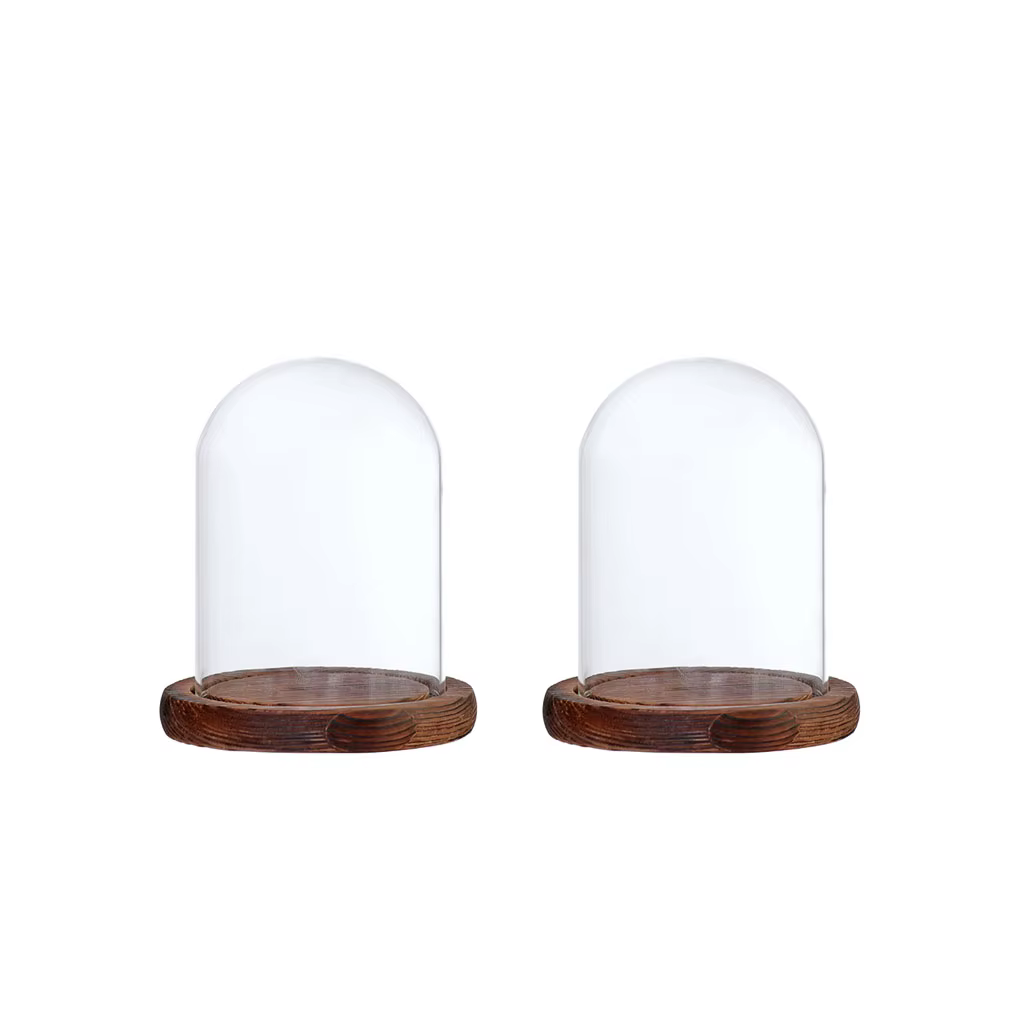 Présentoir en Verre Transparent avec Base en Bois pour Décoration, 2 Pièces, 9x12cm, pour la Maison,