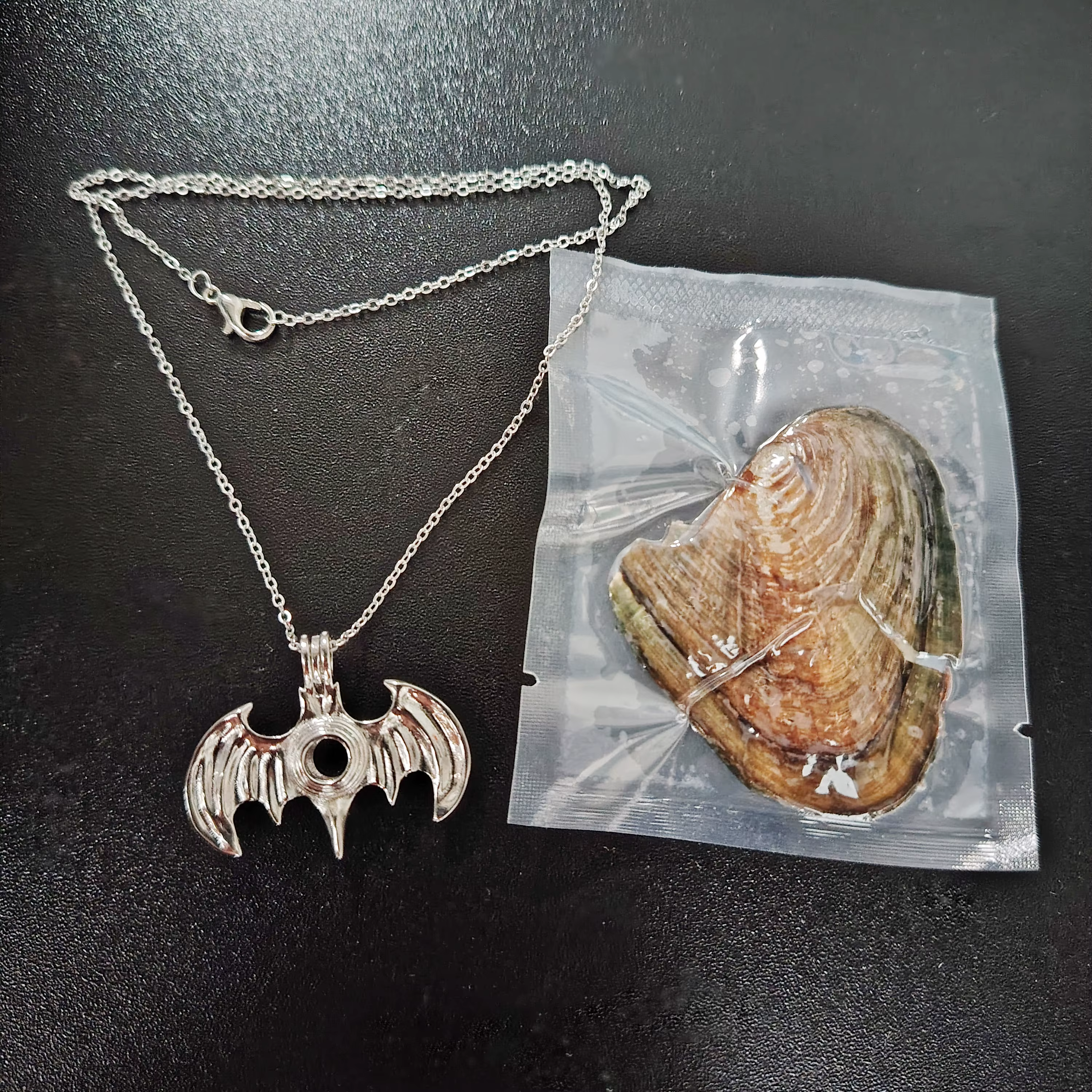 Ensemble de Bijoux Amusants à Faire Soi-Même, Collier Pendentif en Perles Naturelles, group Huître a