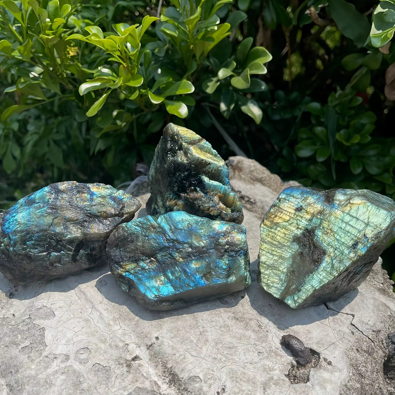 Labrumen ite Pierre Brute pour la Fabrication de Bijoux, Clip Brut Naturel, Vente en Gros