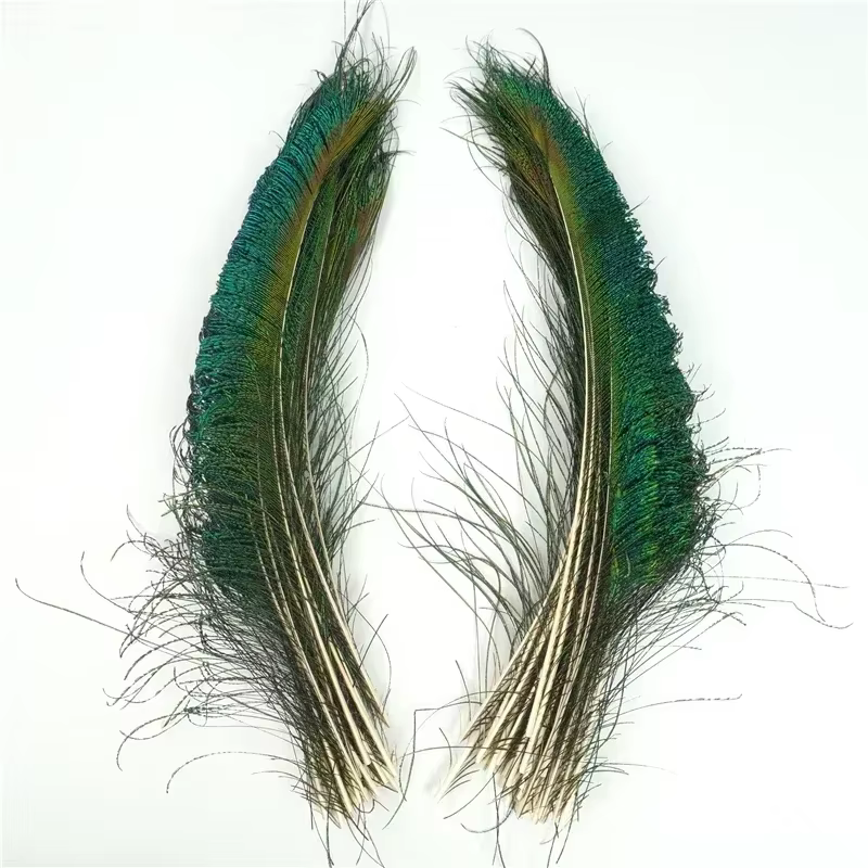 Plumes de paon de qualité supérieure, 25-32 CM, belles plumes de paon naturelles, bijoux à faire soi