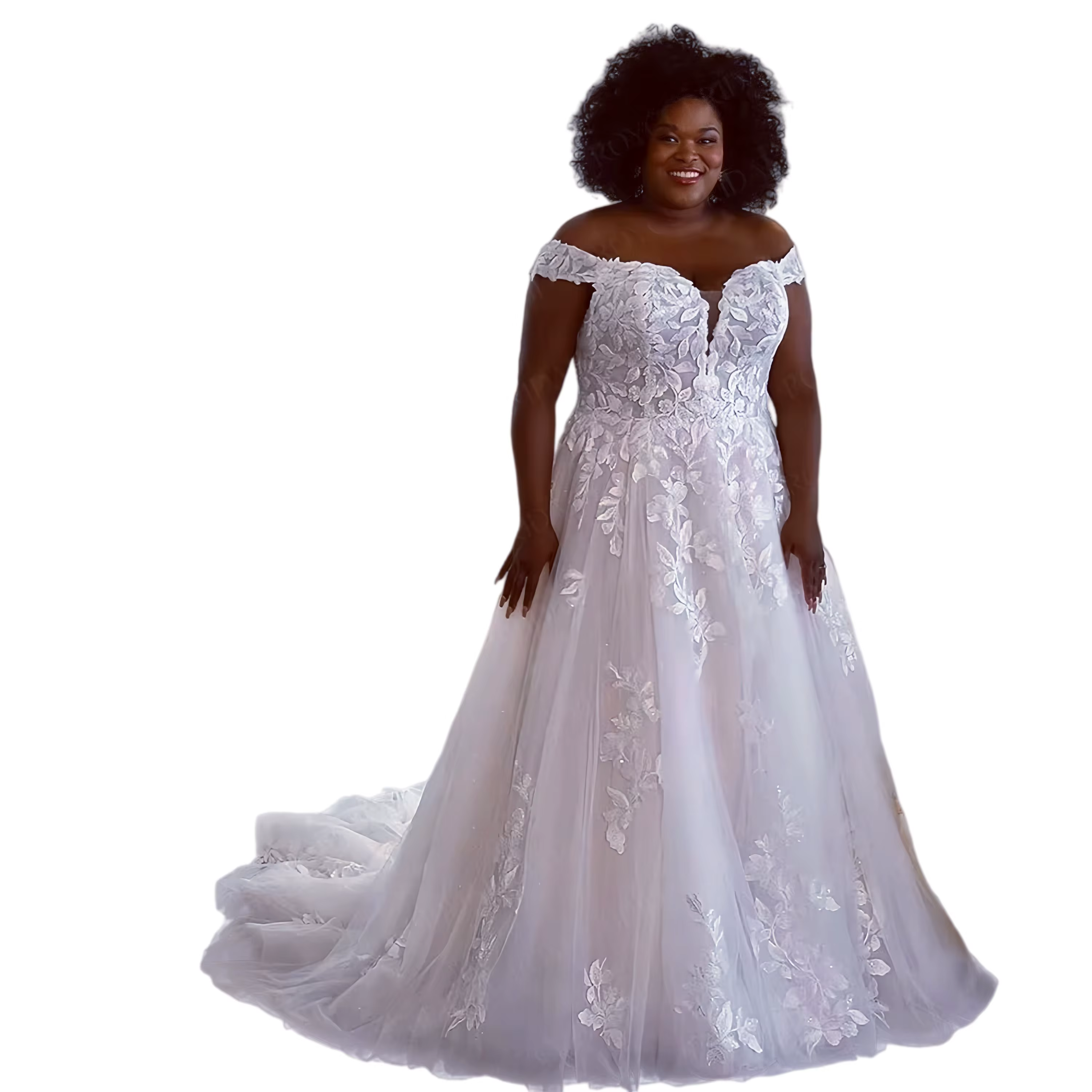 Robes de mariée grande taille pour femmes, avec appliques en dentelle, collection 2026, en tulle mul
