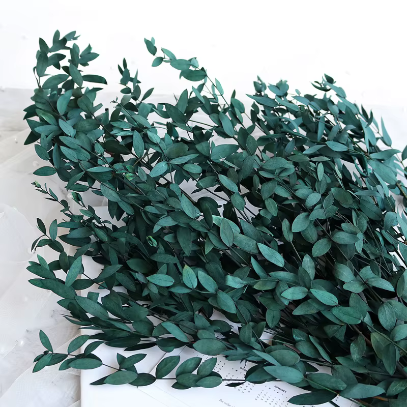 Bouquet de feuilles d'eucalyptus 100g, fleurs séchées naturelles conservées, Arrangement de plantes 