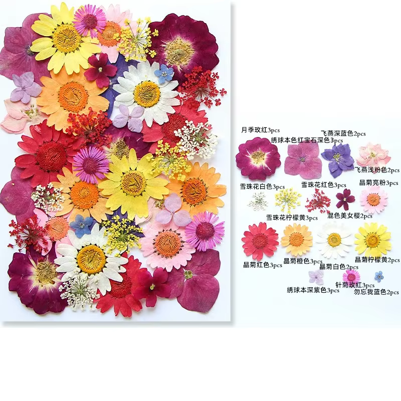 Fleurs séchées pressées pour moules à résine, kit de fleurs séchées naturelles pour scrapbooking, fa