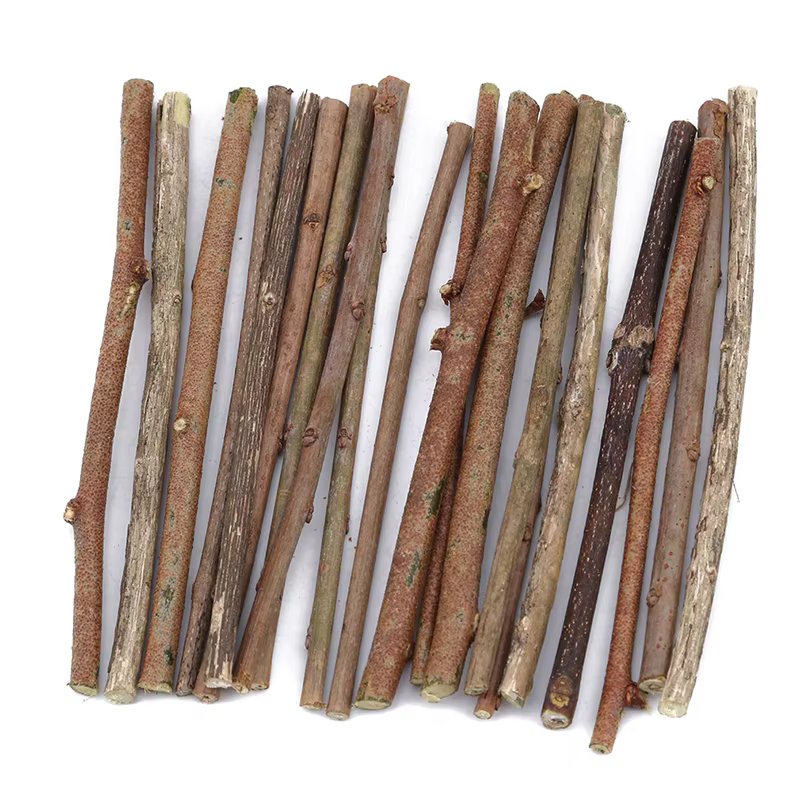Bâtons en bois pour branches de saule, 20 pièces, disques pour bûches, fournitures artisanales pour 