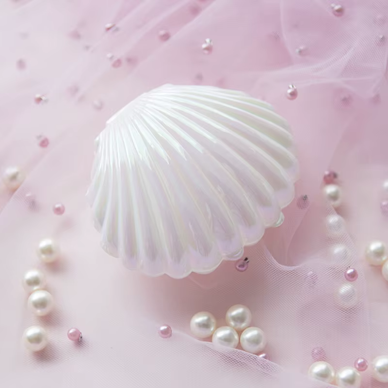 Boîte de rangement pour bijoux, bague en coquillage, collier, boucles d'oreilles, étui à breloques, 