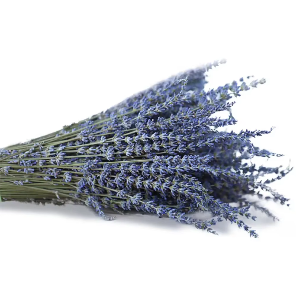 Bouquet de lavande naturelle séchée 50g, décoration de mariage, bouquets de fleurs de lavande préser