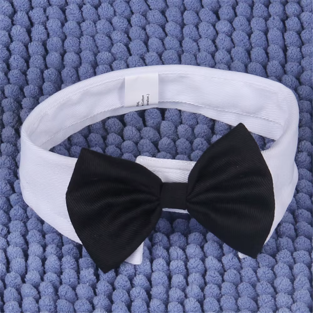 Noeuds de la présidence du chiot pour animaux de compagnie, accessoires de toilettage pour mariage, 