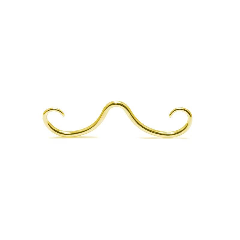 Anneau de moustache Septum, bijoux de perçage pour femmes et hommes, clou de nez en acier chirurgica