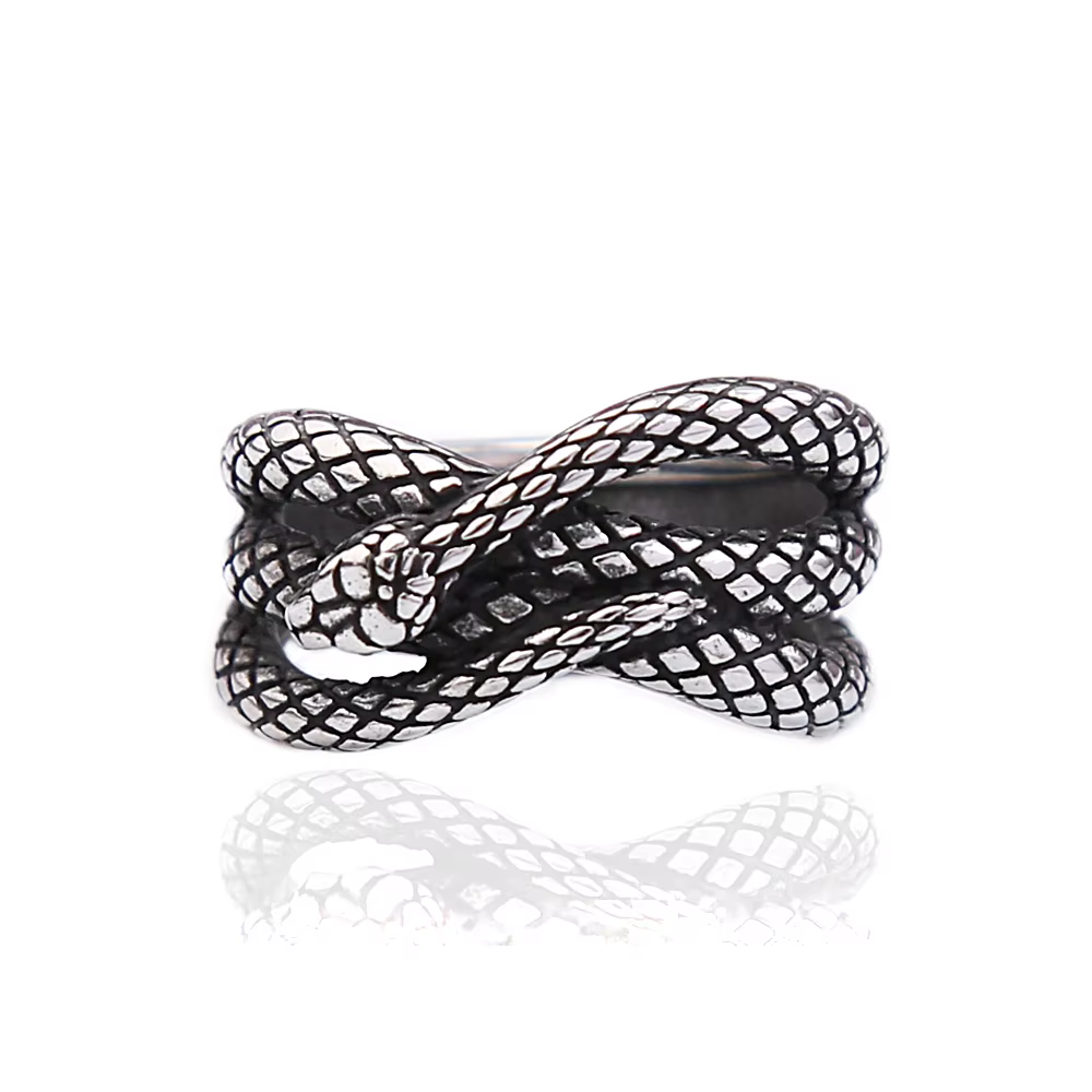 Bague serpent Punk Vintage en acier inoxydable 316L pour hommes et femmes, bagues d'animaux de Coupl