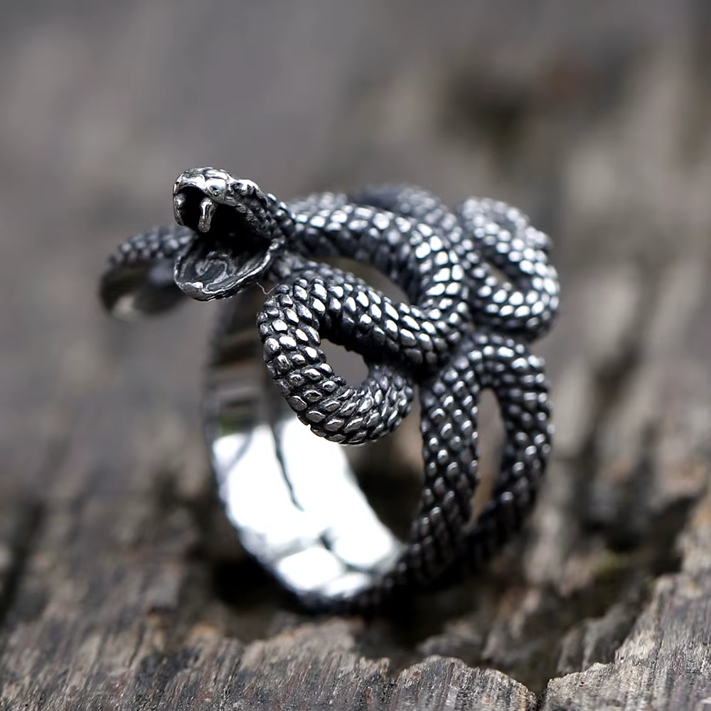 Bagues en acier inoxydable 316L pour hommes, anneau serpent Punk à la mode pour adolescents, bijoux 