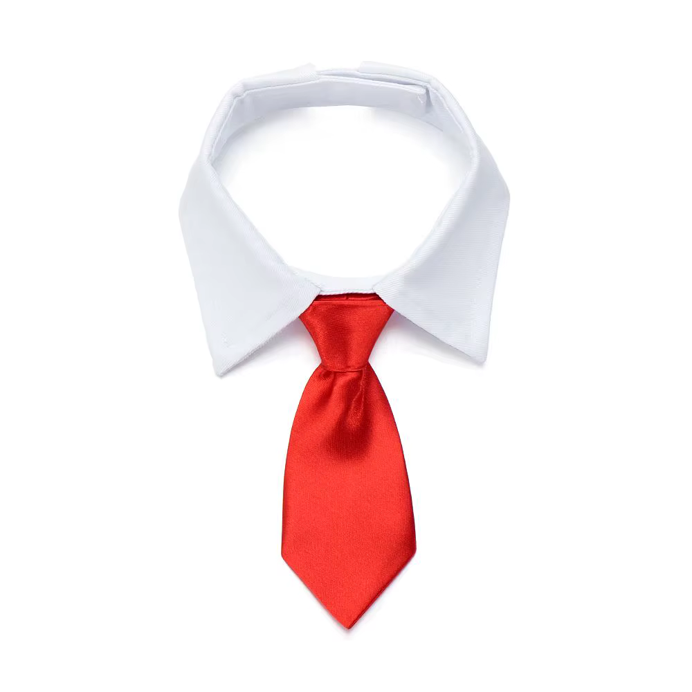 Noeud de smoking officiel pour chien et chat, collier noir et rouge, accessoires pour animaux de com
