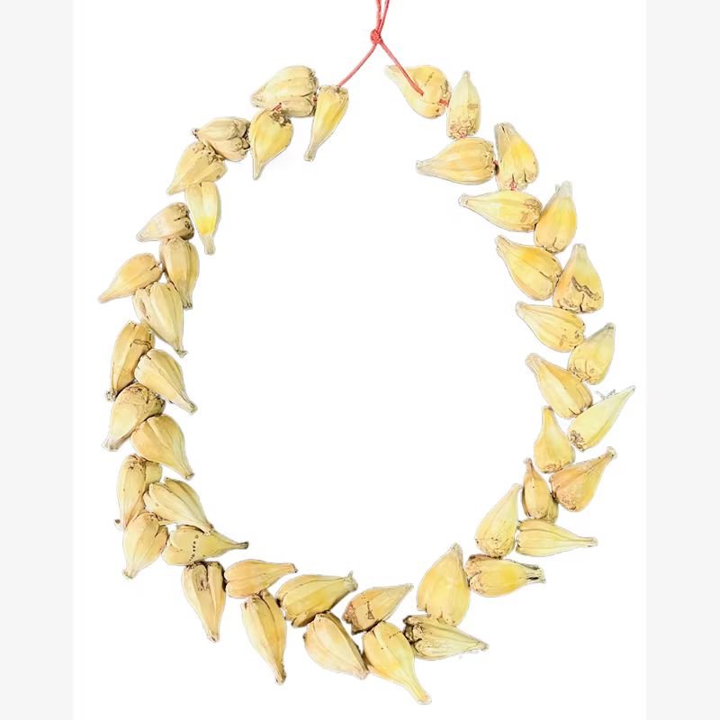 Règles romaines ULA FALA chef tribal Samoan OTC ULA FALA collier tribu familiale collier
