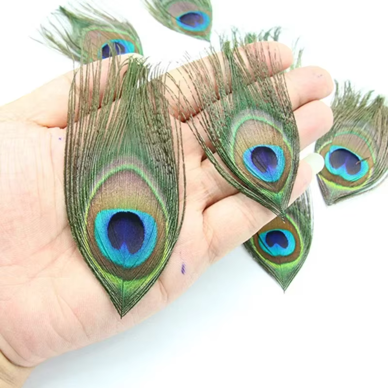 Plumes de paon véritables, 10-15cm/4-6 pouces, pour la fabrication de bijoux, décoration de mariage,
