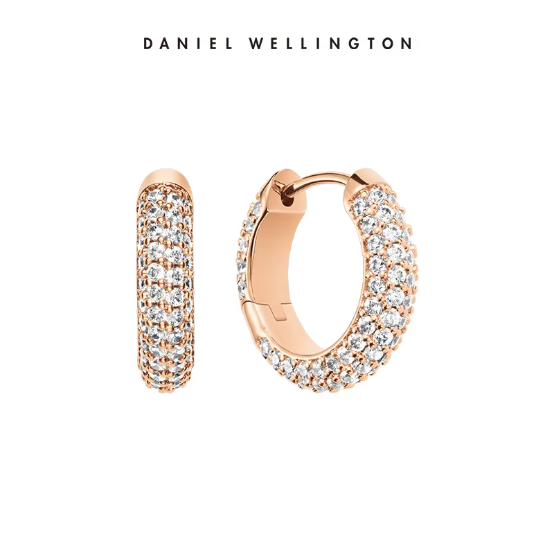 Boucles d'oreilles clous de luxe Daniel Wellington en cristal pavé pour femme, en acier inoxydable o