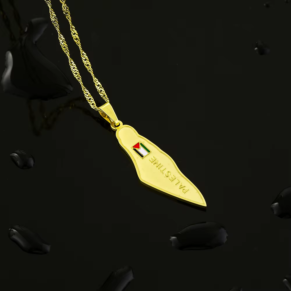 Collier pendentif en acier inoxydable pour hommes et femmes, carte de l'état de Palestine, cadeau de