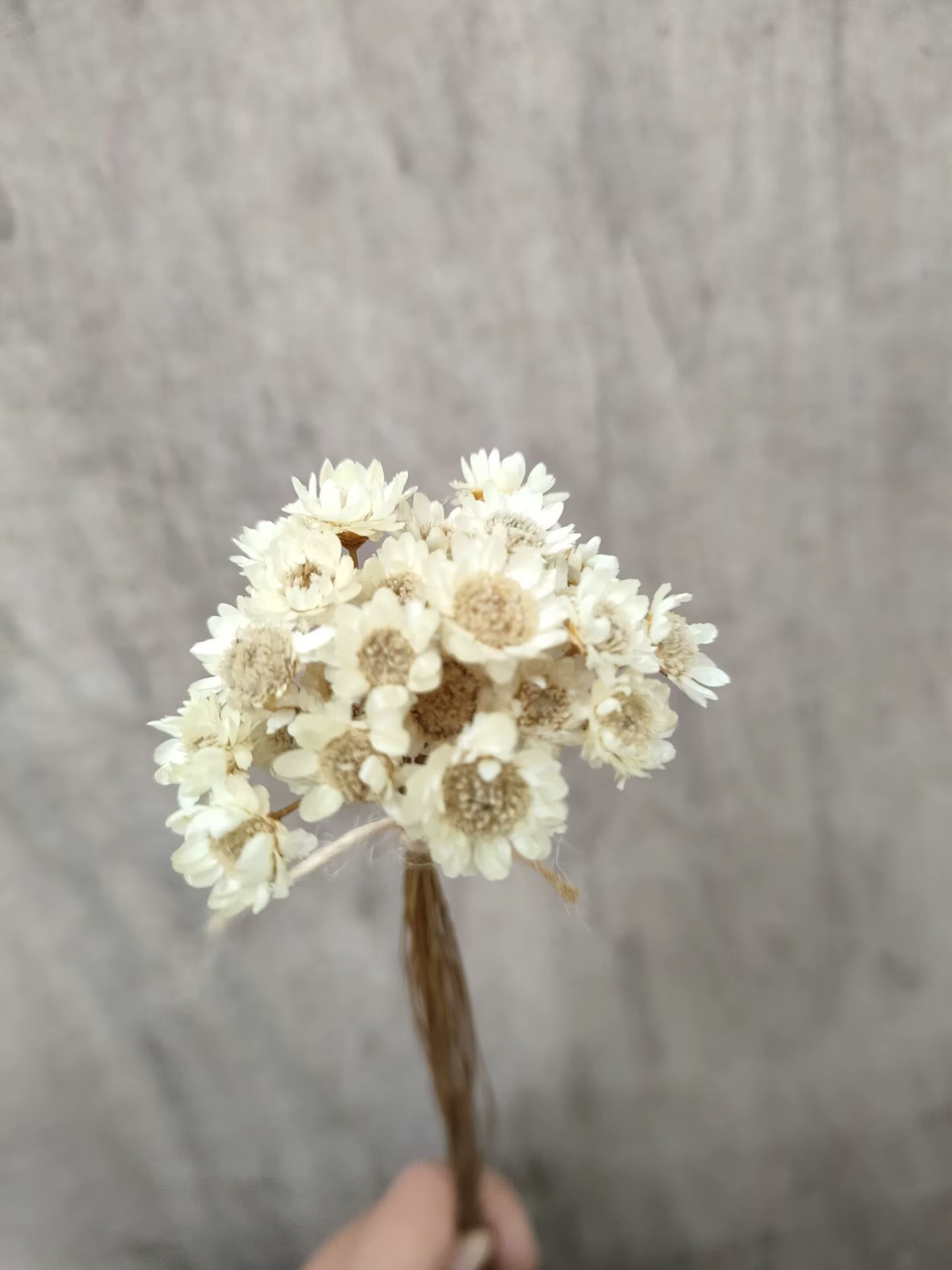 Fleurs séchées pour mariage, décorations essentielles pour la maison, accents décoratifs pour la mai