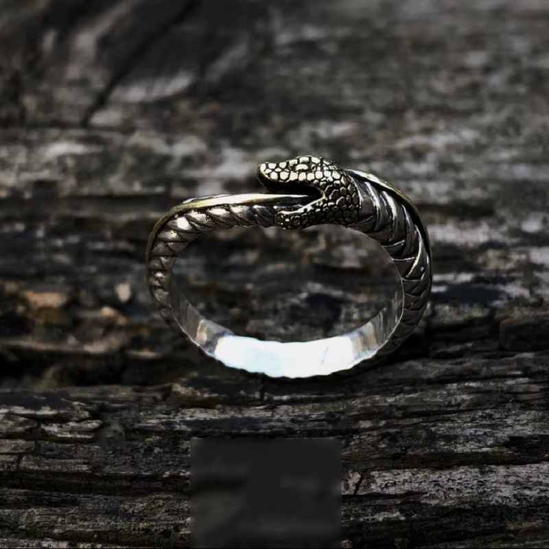 Bague serpent Vintage Ouroboros pour hommes, bijoux réglables, bague serpent sculptée exquise S925, 