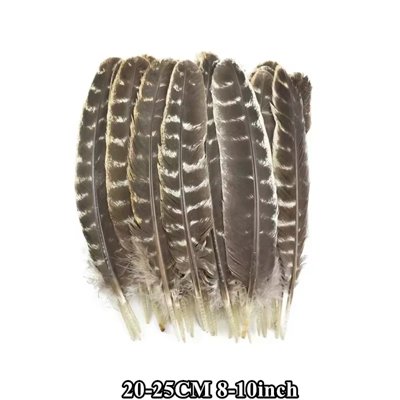 10 pièces/lot de plumes de dinde naturelles, plumes d'aigle, plumes d'oiseaux pour l'artisanat, la d