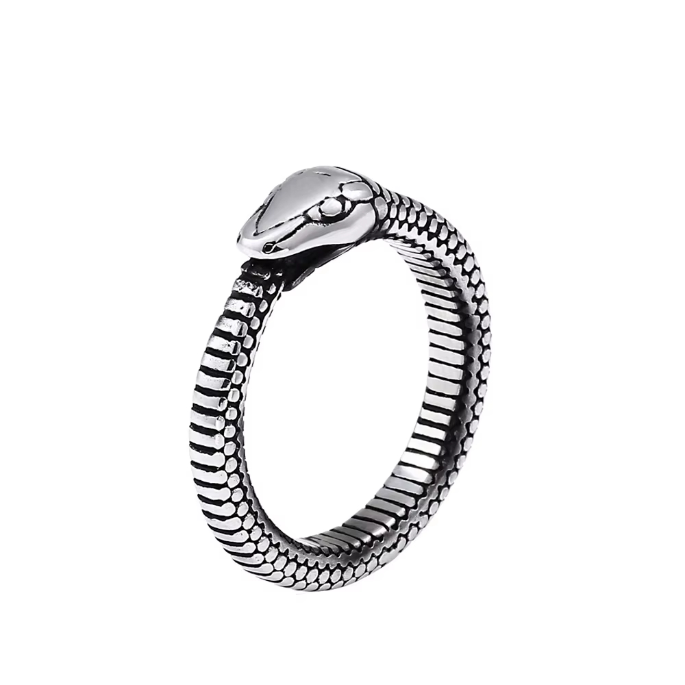 Bagues Vintage simples nordiques Viking Ouroboros pour hommes et femmes, en acier inoxydable, Punk m