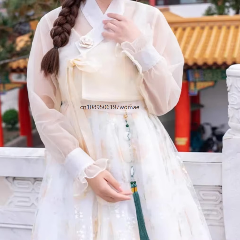 Robe Hanbok Coréenne Traditionnelle Ancienne pour Danse Scénique