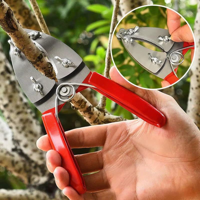 Cisaille à écorcher les arbres fruitiers