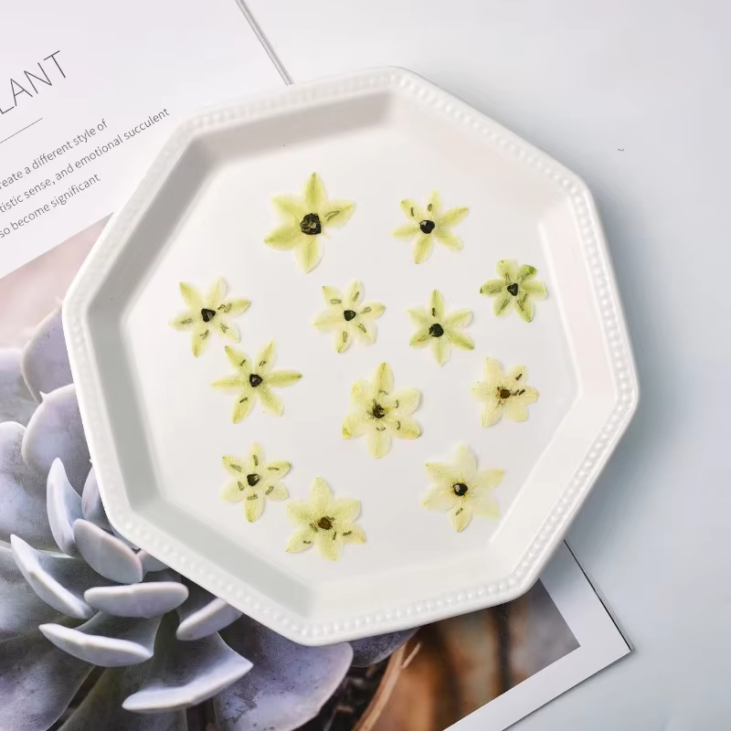 Pétales de fleurs séchées PMurcia pour bricolage