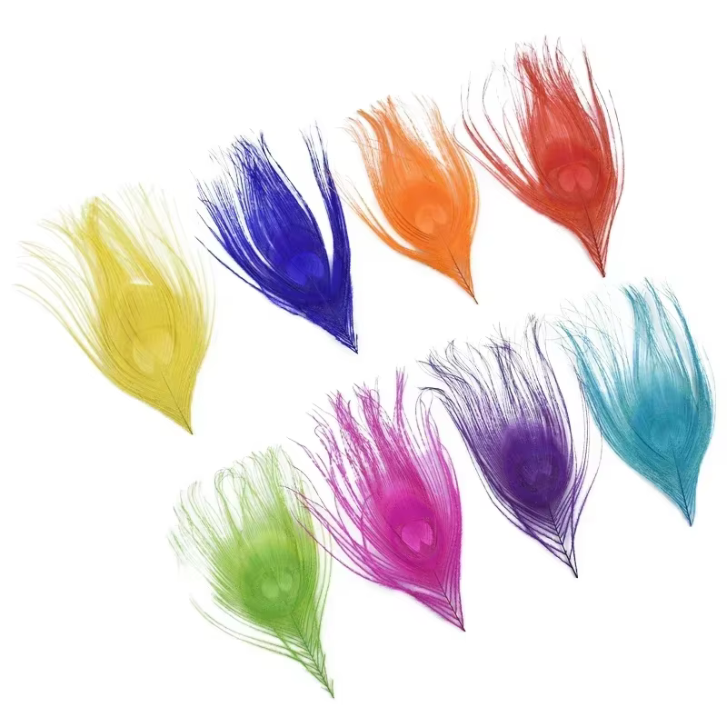10 Pièces Plumes de Paon pour Création de Bijoux