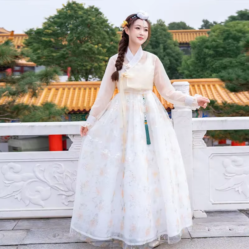 Robe Hanbok coréenne pour femmes