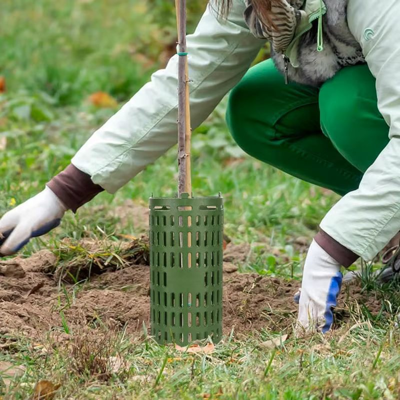 Protecteur de tronc d'arbre réglable pour diverses tailles d'arbres ou de plantes