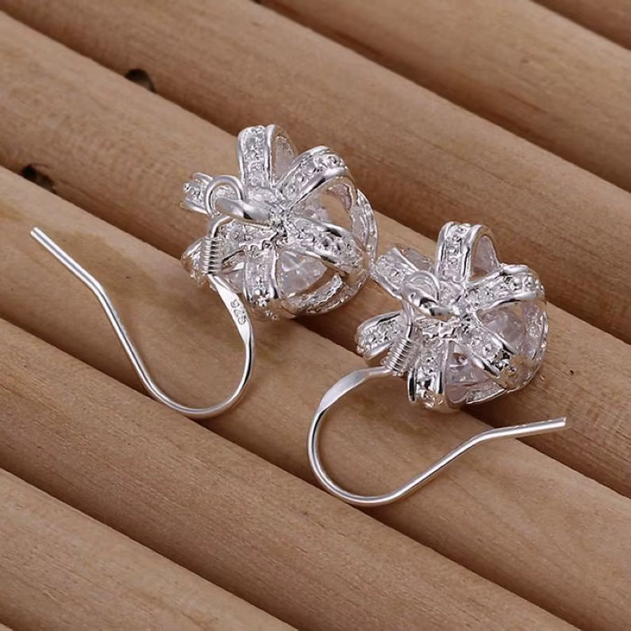Boucles d'oreilles en argent Sterling 925 pour femmes