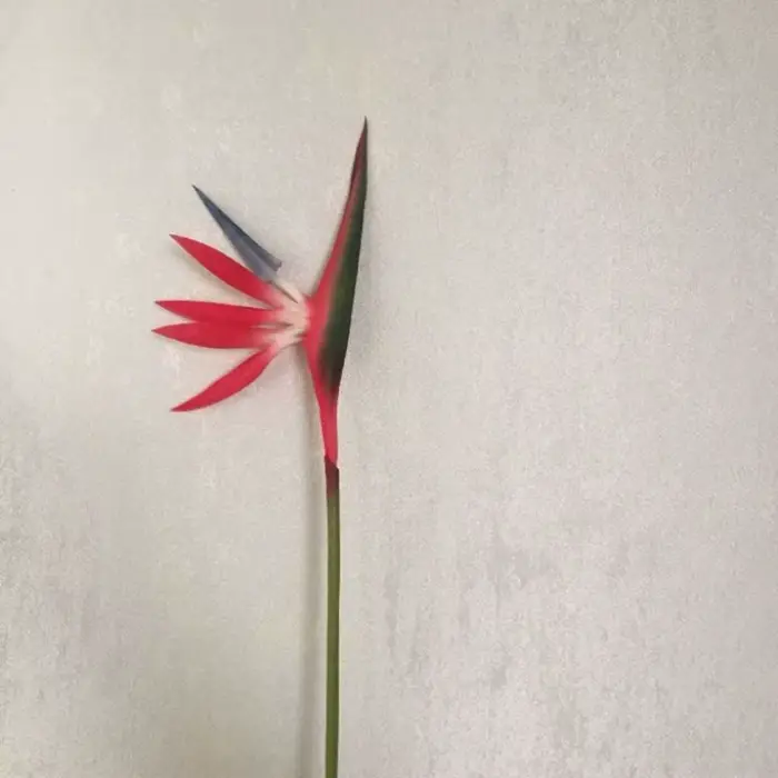 Décorations de mariage et d'intérieur : Fleurs artificielles à longue tige en soie, fleurs en latex 